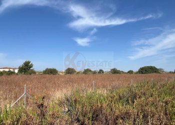 Foto 11 - Terreno agricolo località malamolere, Sassari - foto 9