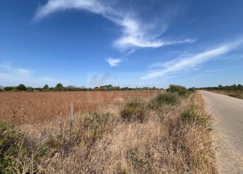 Foto 16 - Terreno agricolo località malamolere, Sassari - foto 14
