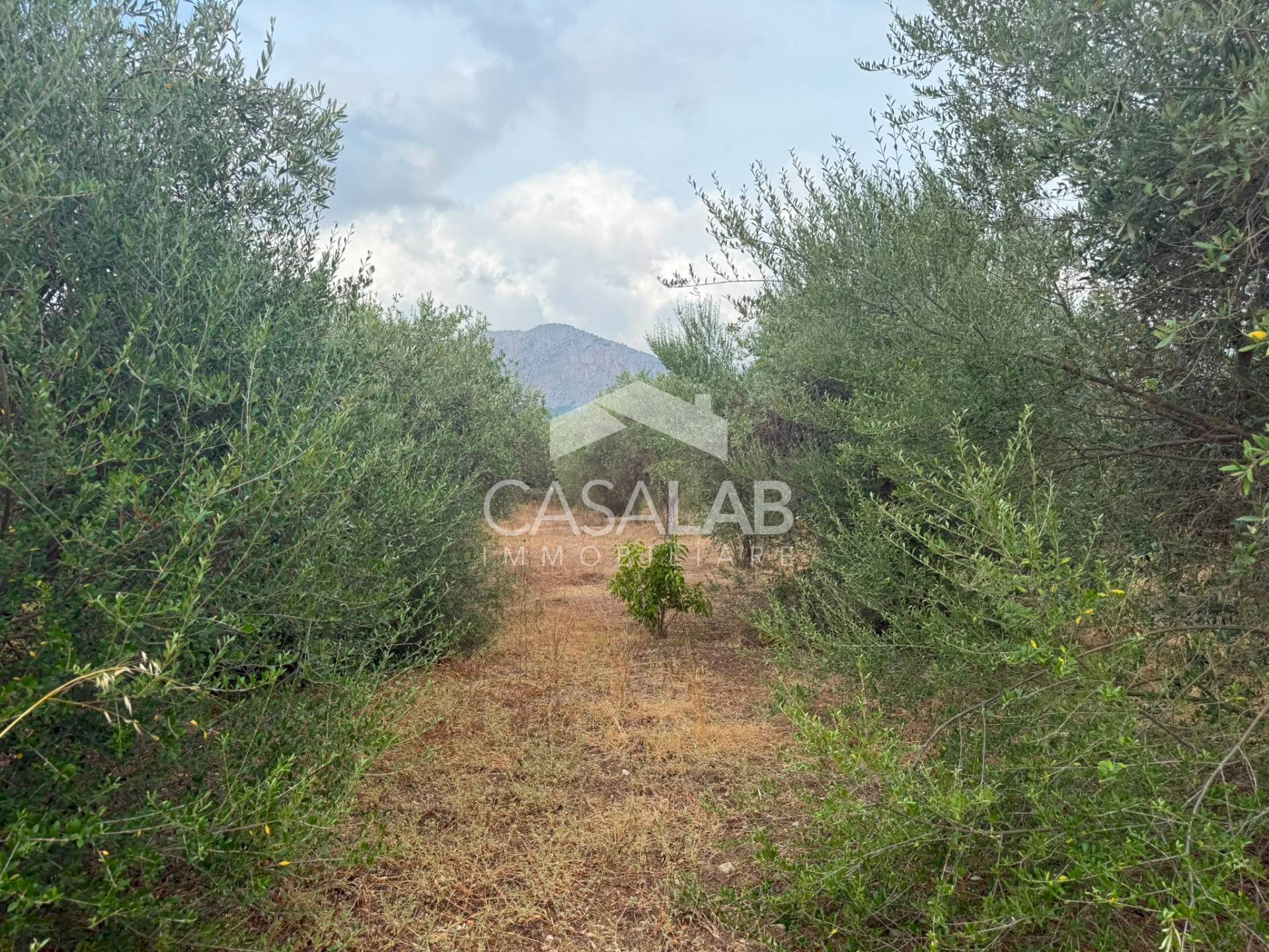 Foto 1 - Terreno agricolo VIA GAETANO BALSAMO
 
snc, Carini - foto 1