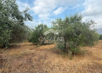 Foto 5 - Terreno agricolo VIA GAETANO BALSAMO
snc, Carini - foto 5