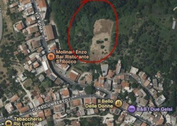WhatsApp Image 2026-08-31 at 11.12.16 - Building land Via San Rocco, Montelibretti - photo 1