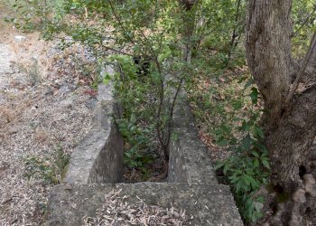 Giardino - Terreno edificabile Via Esterna Spartiviolo
snc, Monreale - foto 19