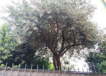 Edificio all\'aperto - Trilocale Via Ortisei
 
5, Acireale - foto 42