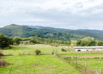 Vista delle montagne - Rustico Via di San Cresci
 
42, Borgo San Lorenzo - foto 15
