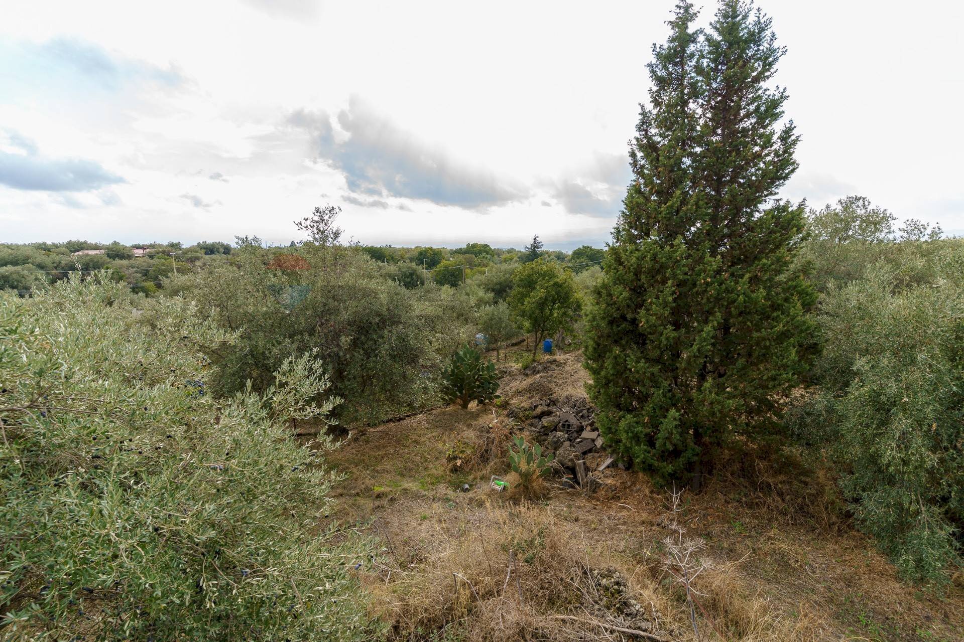 Vista delle montagne - Villa contrada edere
sn, Belpasso - photo 3