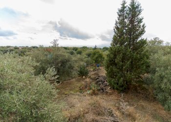 Vista delle montagne - Villa contrada edere
 
sn, Belpasso - photo 3