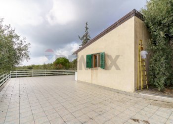 Terrazza - Villa contrada edere
 
sn, Belpasso - photo 5