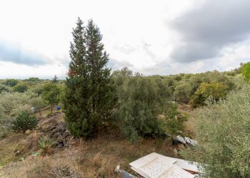 Giardino - Villa contrada edere
 
sn, Belpasso - photo 18