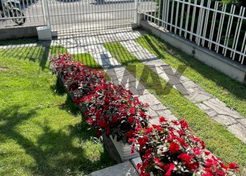 Giardino - Villa Via Pietro Maroncelli
 
20, Lainate - photo 30