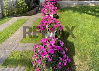 Giardino - Villa Via Pietro Maroncelli
 
20, Lainate - photo 32