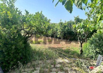 Giardino - Villa vicolo Sicilia
 
snc, Pachino - foto 13