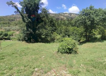 Giardino - Rustico Via trav Garibaldi
 
25, Castelforte - foto 10