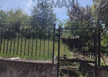 Giardino - Four-room apartment via Borgo, Castelnuovo Parano - photo 15