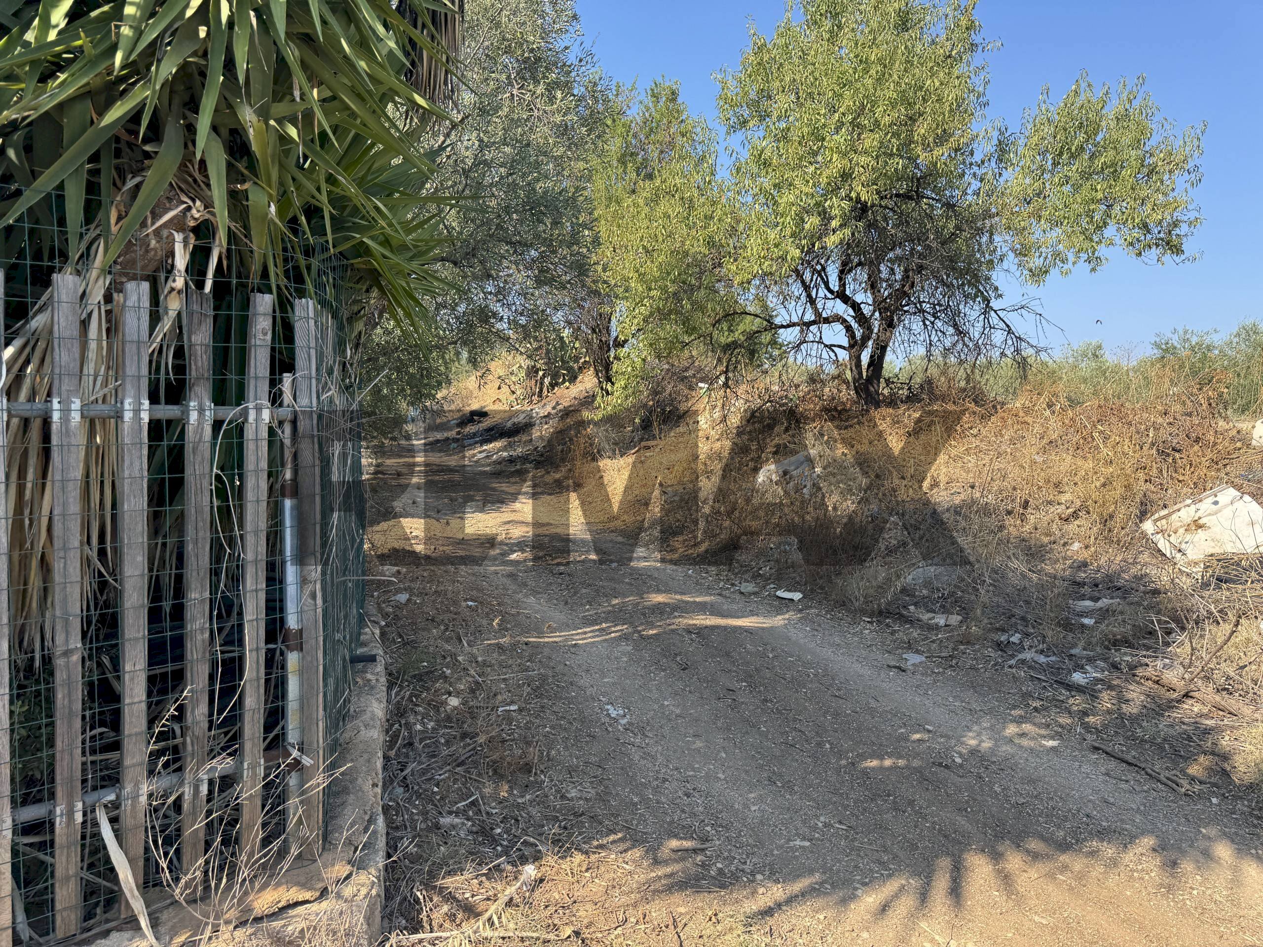 Non correlato - Villa via Filieri
snc, Bitonto - foto 3