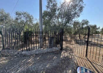 Non correlato - Villa via Filieri
 
snc, Bitonto - foto 2