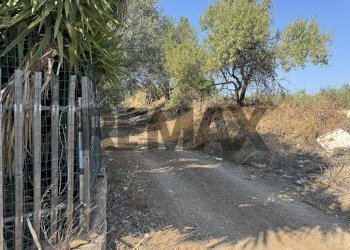 Non correlato - Villa via Filieri
 
snc, Bitonto - foto 3