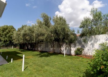 Giardino - Villa Via degli Olmi
 
5-7, Quartu Sant'Elena - foto 42