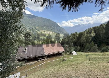 Vista delle montagne - Rustico Via di Val Comasen
 
1, Peio - foto 10