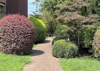 Giardino - Quadrilocale via Giacomo Medici, 14, Monza (zona Triante) - foto 5