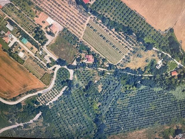 Foto 1 - Agricultural land Zona Cartofaro, Ascoli Piceno - photo 1