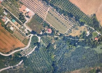Foto 1 - Agricultural land Zona Cartofaro, Ascoli Piceno - photo 1
