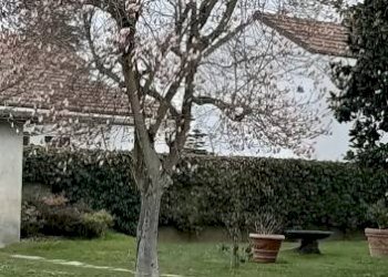 Terreno - Rustico via Manzoni, 5, Frascarolo - foto 31