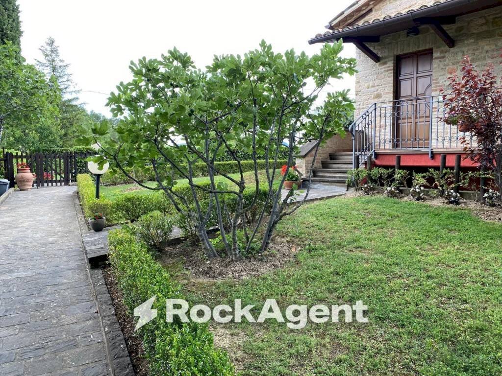 Giardino - Rustico Frontone - foto 3