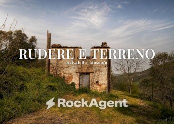 Terreno - Rustic SP 45, Moscufo - photo 1