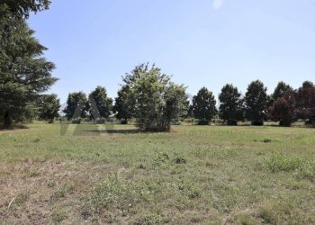 Terreno - Villa via dei Cavi, Carpi - foto 12