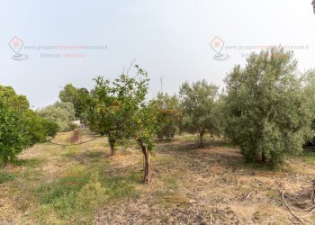 RIC09113 - Villa Siracusa - foto 23