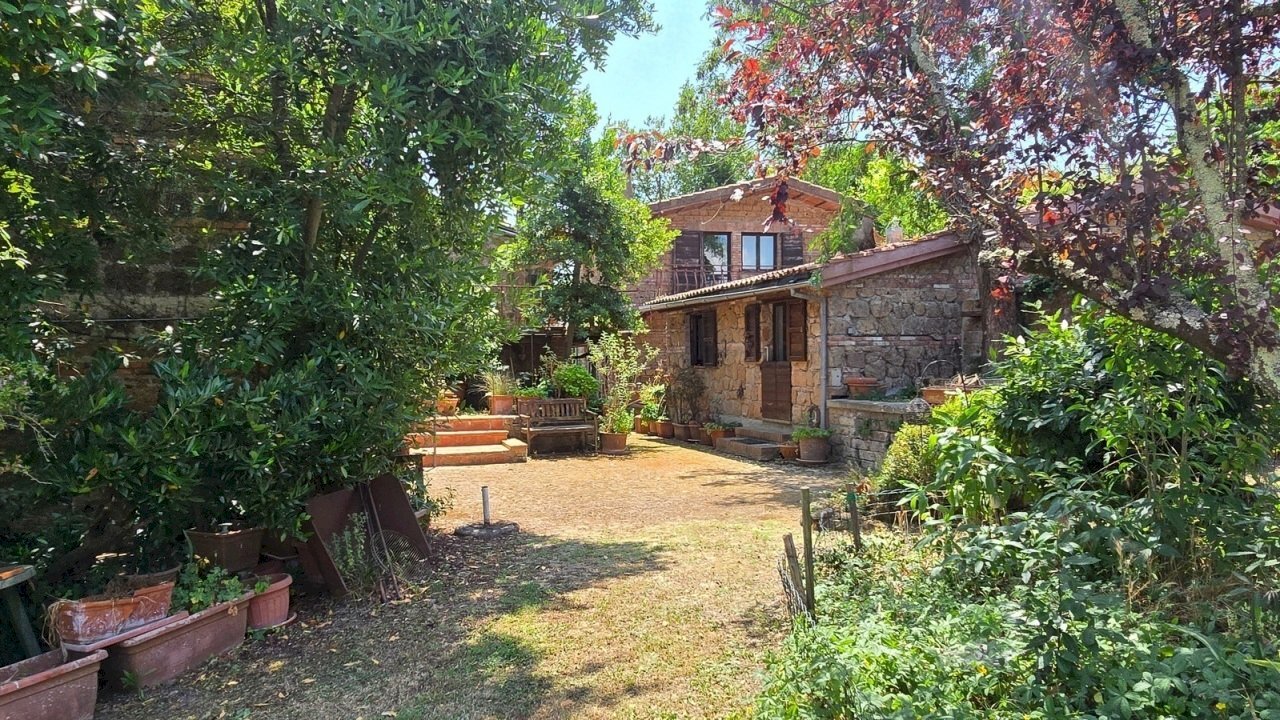 2-giardino (1).jpg - Casale Località San Giorgio 4, Proceno - foto 2