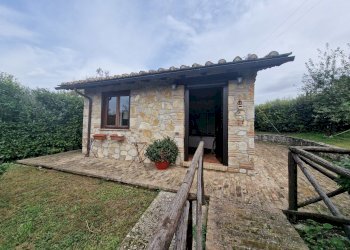 20241017_124114.jpg - Villa Strada del Fondo, Amelia - foto 1