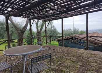 20241017_124559.jpg - Villa Strada del Fondo, Amelia - foto 17