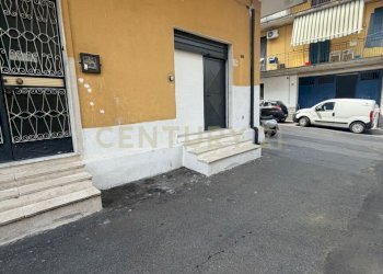 WhatsApp Image 2026-09-01 at 09.10.26 (3) - Abbigliamento - Intimo Via del Chinotto 26, Catania - foto 1