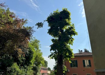Appartamento Via Alamandini, Bologna (zona Colli) - foto 26