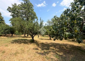 Rustico Via braida, Almese - foto 21
