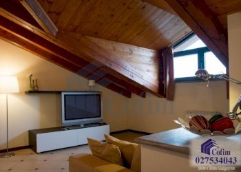 One-room apartment Peschiera Borromeo - photo 8