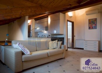 One-room apartment Peschiera Borromeo - photo 15