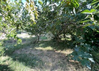 Appartamento Frazione Signayes, Aosta - foto 46