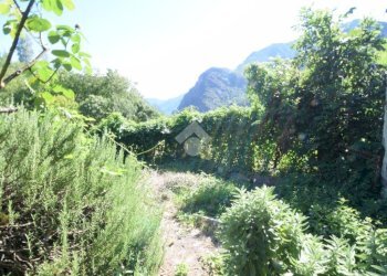 Rustico Località Perral, Montjovet - foto 4