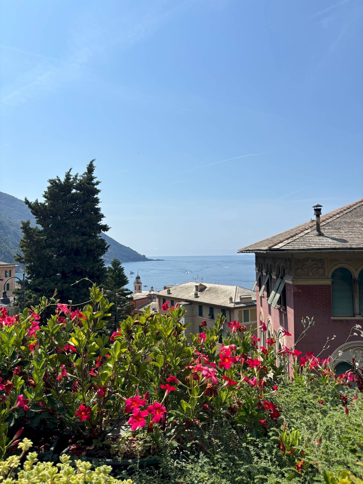 Foto 2 - Quadrilocale CORSO MAZZINI, Camogli - foto 2