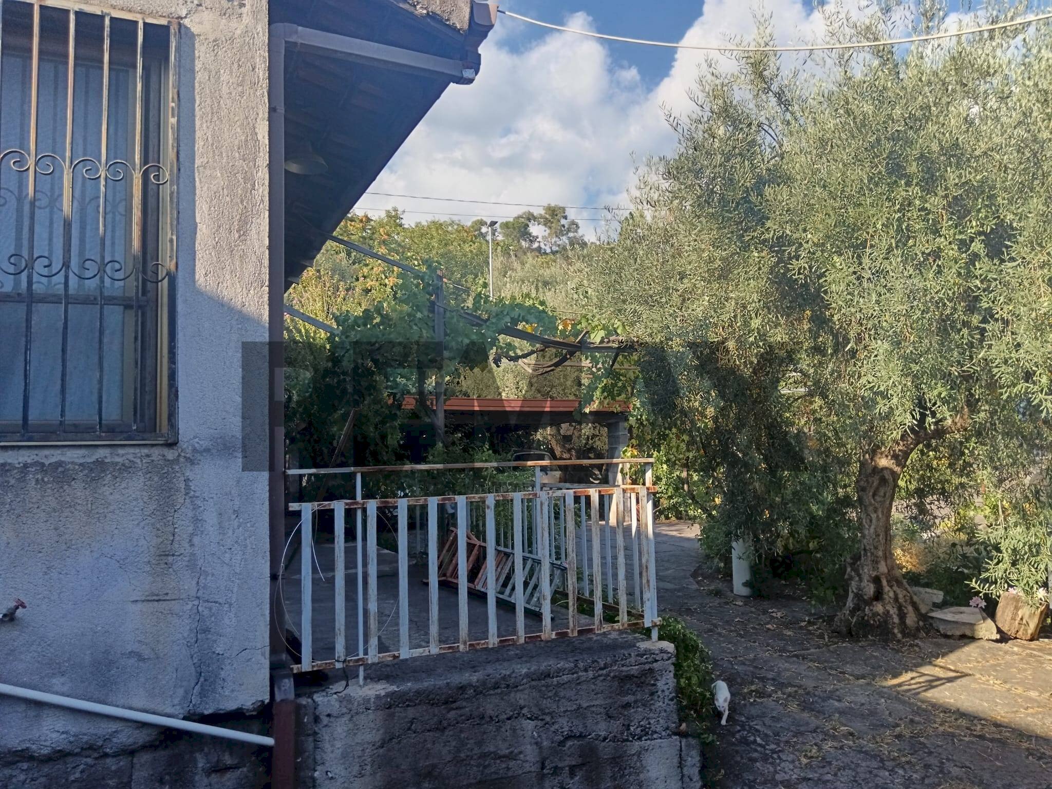 Terrazza - Villa Via Antico Palmento
20, Ragalna - foto 2