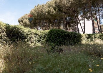 Giardino - Quadrilocale Via Delle Orchidee
 
13, Melilli - foto 27