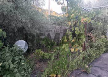 Giardino - Casa indipendente Via Antico Palmento
 
20, Ragalna - foto 20