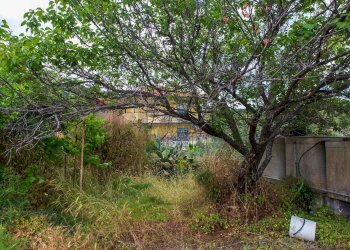 Giardino - Villa Via dei Gelsomini
 
11, Pedara - foto 37