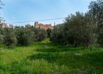 Giardino - Terreno agricolo Via Piana
 
19, Cupramontana - foto 1