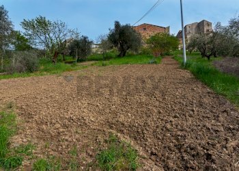 Giardino - Terreno agricolo Via Piana
 
19, Cupramontana - foto 4