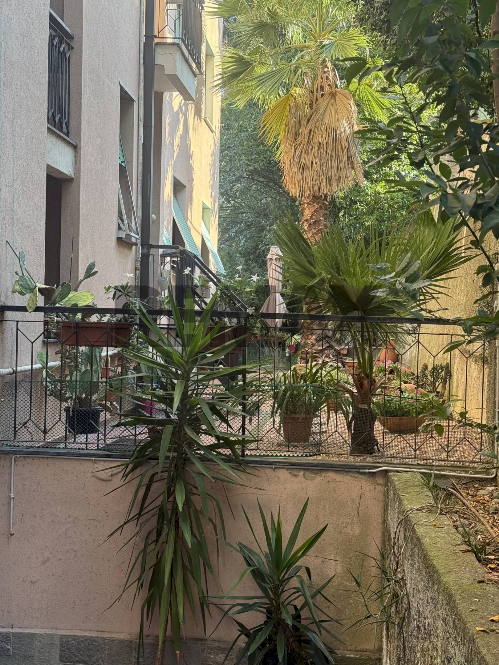 Edificio all\'aperto - Quadrilocale Via Rusca
37, Savona - foto 3