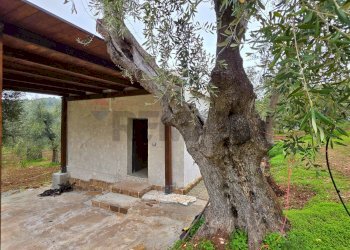 Casa all\'aperto - Villa Macchiaria
 
SNC, Vieste - foto 1