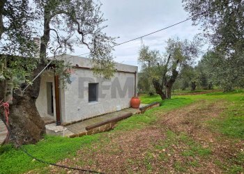 Casa all\'aperto - Villa Macchiaria
 
SNC, Vieste - foto 2